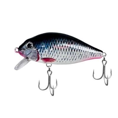 Schwimmender Minnow-Köder